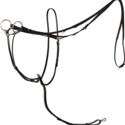 BR Thiedeman Teugel Lancasterm/Martingaal Zwart/Zilver