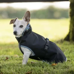 Bucas Anniversary Dog Rug Sapphire