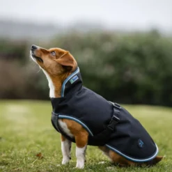Bucas Anniversary Dog Rug Sapphire