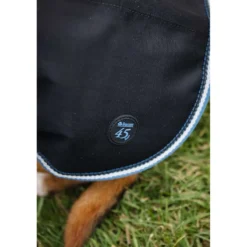 Bucas Anniversary Dog Rug Sapphire