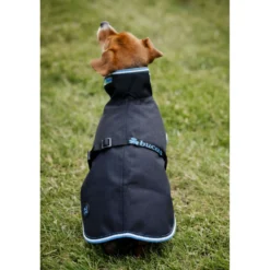 Bucas Anniversary Dog Rug Sapphire