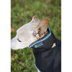 Bucas Anniversary Dog Rug Sapphire