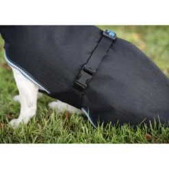 Bucas Anniversary Dog Rug Sapphire