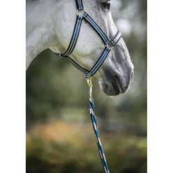 Bucas Anniversary Halster Dublin Sapphire