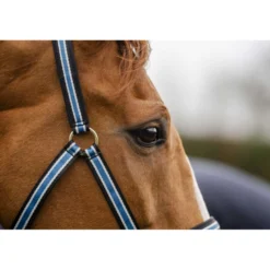 Bucas Anniversary Halster Dublin Sapphire