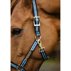 Bucas Anniversary Halster Dublin Sapphire