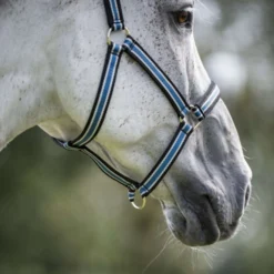 Bucas Anniversary Halster Dublin Sapphire