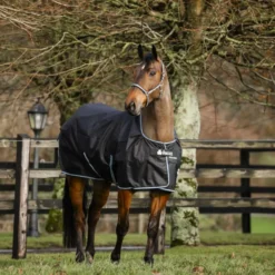 Bucas Anniversary Turnout Light Stay-dry 0g Sapphire