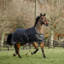 Bucas Anniversary Turnout Light Stay-dry 0g Sapphire