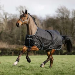 Bucas Anniversary Turnout Light Stay-dry 0g Sapphire
