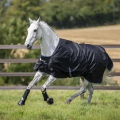 Bucas Anniversary Turnout Light Stay-dry 0g Sapphire