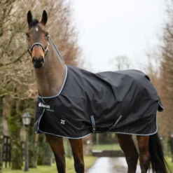Bucas Anniversary Turnout Light Stay-dry 0g Sapphire