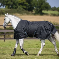 Bucas Anniversary Turnout Light Stay-dry 0g Sapphire