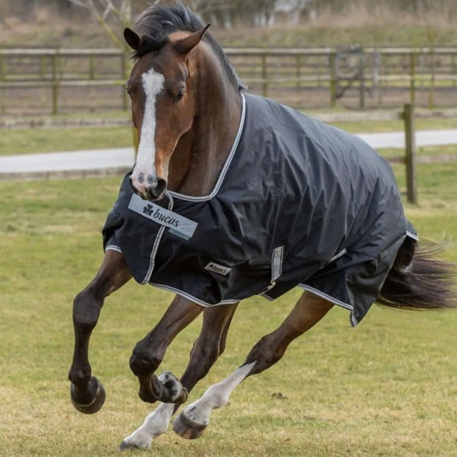 Bucas Anniversary Turnout Light Stay-Dry 0g Black/Silver