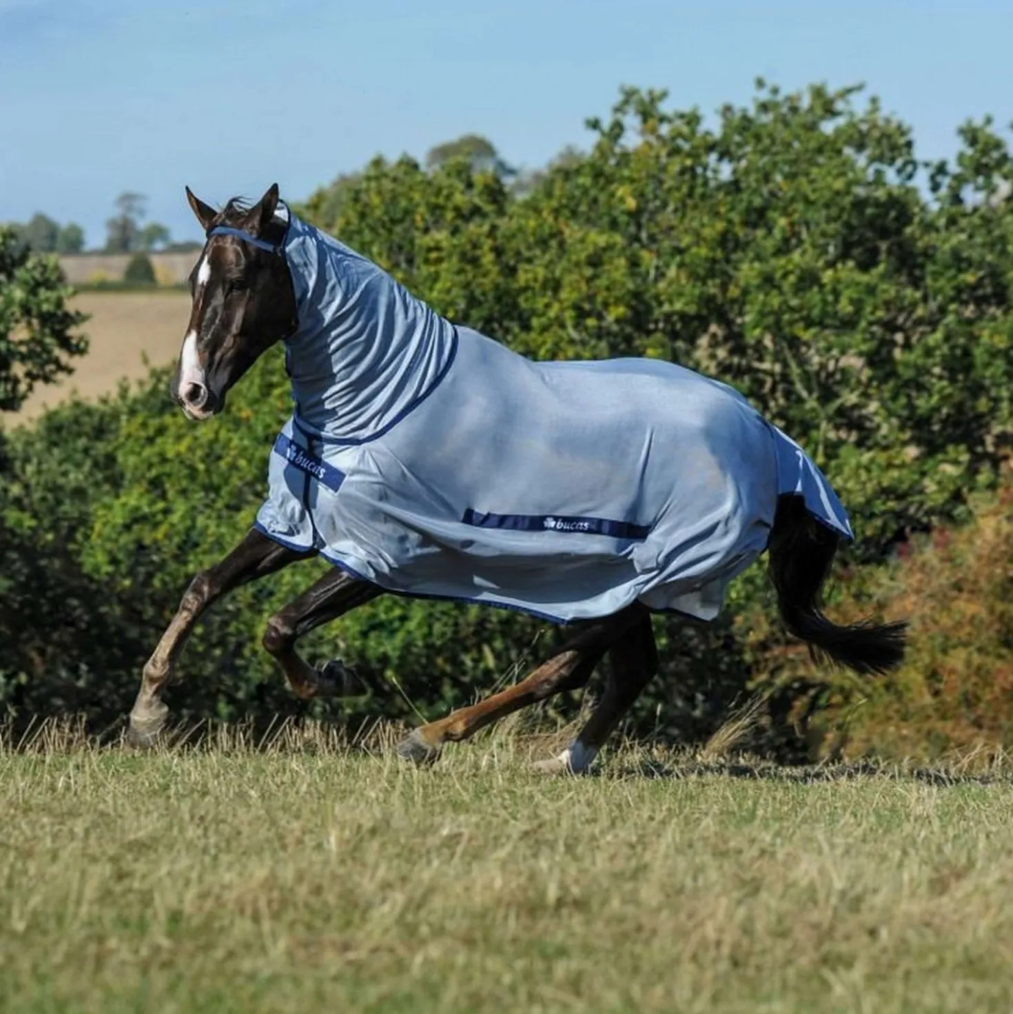 Bucas Buzz-Off Full Neck Blue