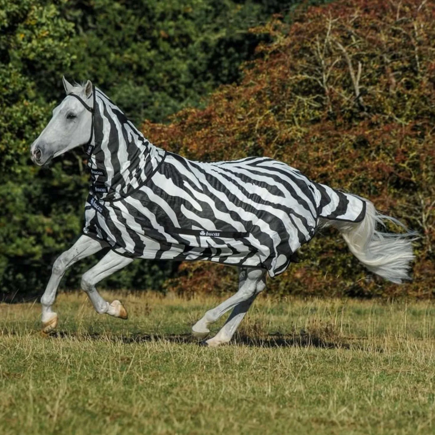 Bucas Buzz-Off Full Neck Zebra