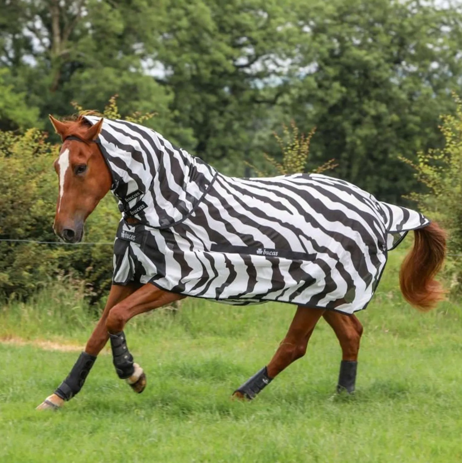 Bucas Buzz-Off & Neck Zebra