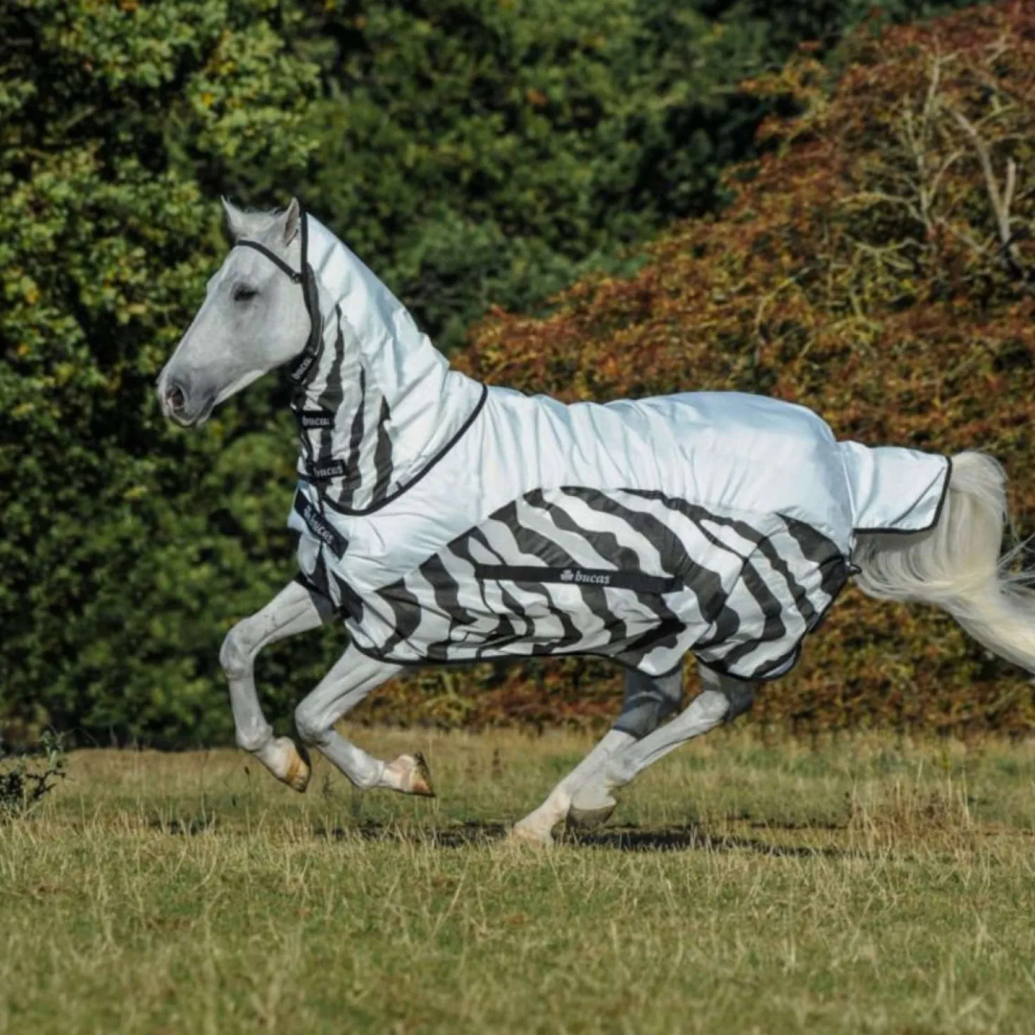 Bucas Buzz-Off Rain & Neck 0g Zebra