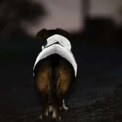 Bucas Dog Rug Reflectglow Reflectglow