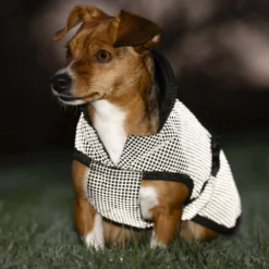 Bucas Dog Rug Reflectglow Reflectglow