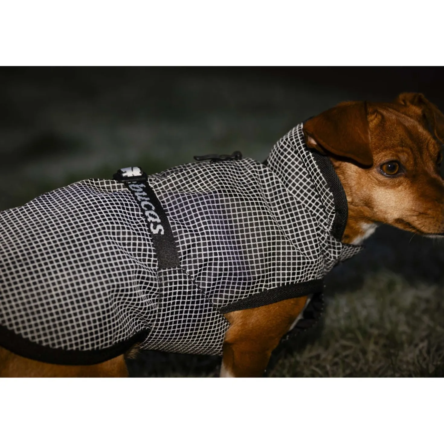 Bucas Dog Rug Reflectglow Reflectglow