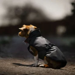 Bucas Dog Rug Reflectglow Reflectglow