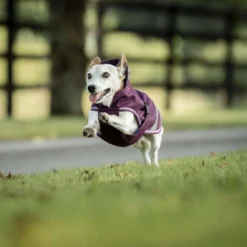 Bucas Freedom Dog Rug Blackberry