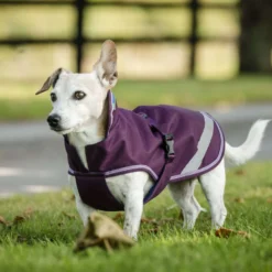 Bucas Freedom Dog Rug Blackberry
