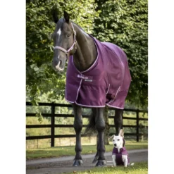 Bucas Freedom Dog Rug Blackberry