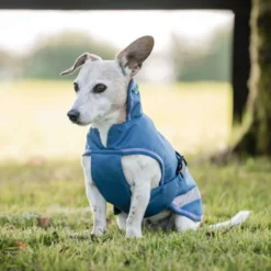 Bucas Freedom Dog Rug Blueberry