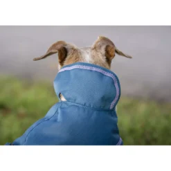 Bucas Freedom Dog Rug Blueberry