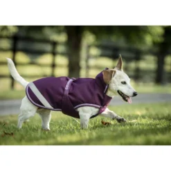 Bucas Freedom Dog Rug 300g Blackberry