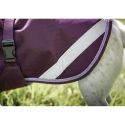 Bucas Freedom Dog Rug 300g Blackberry