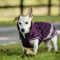 Bucas Freedom Dog Rug 300g Blackberry