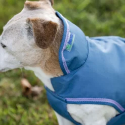 Bucas Freedom Dog Rug 300g Blueberry