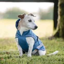 Bucas Freedom Dog Rug 300g Blueberry