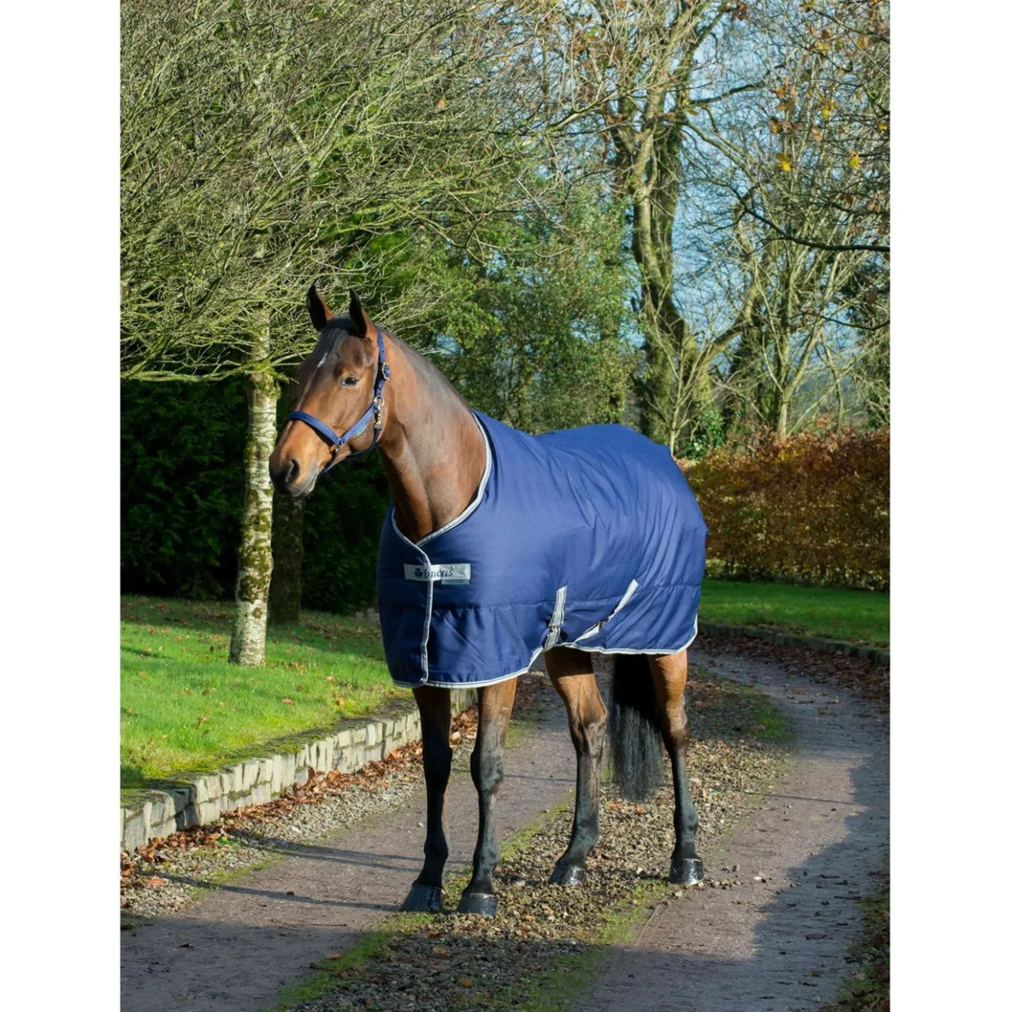 Bucas Freedom Staldeken 150g Navy