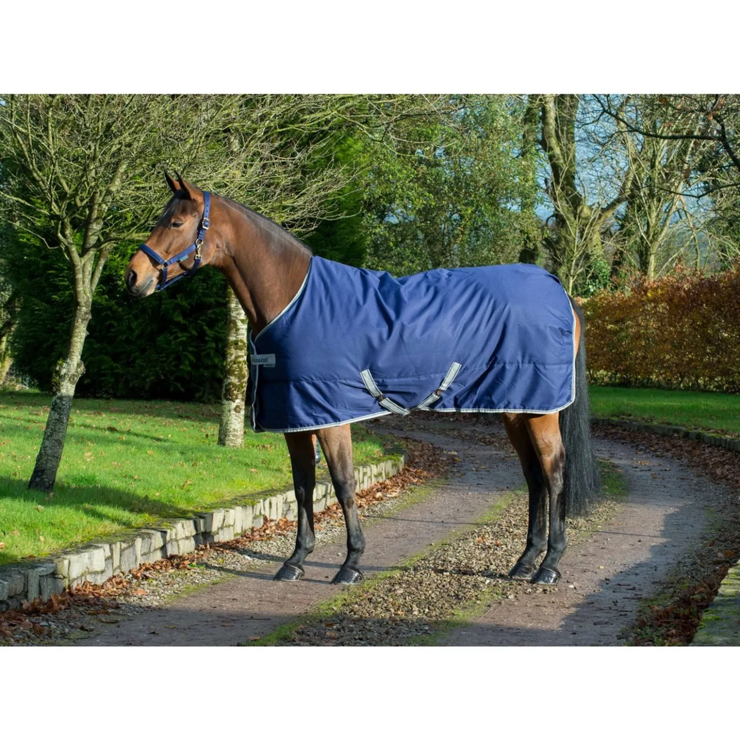Bucas Freedom Staldeken 150g Navy
