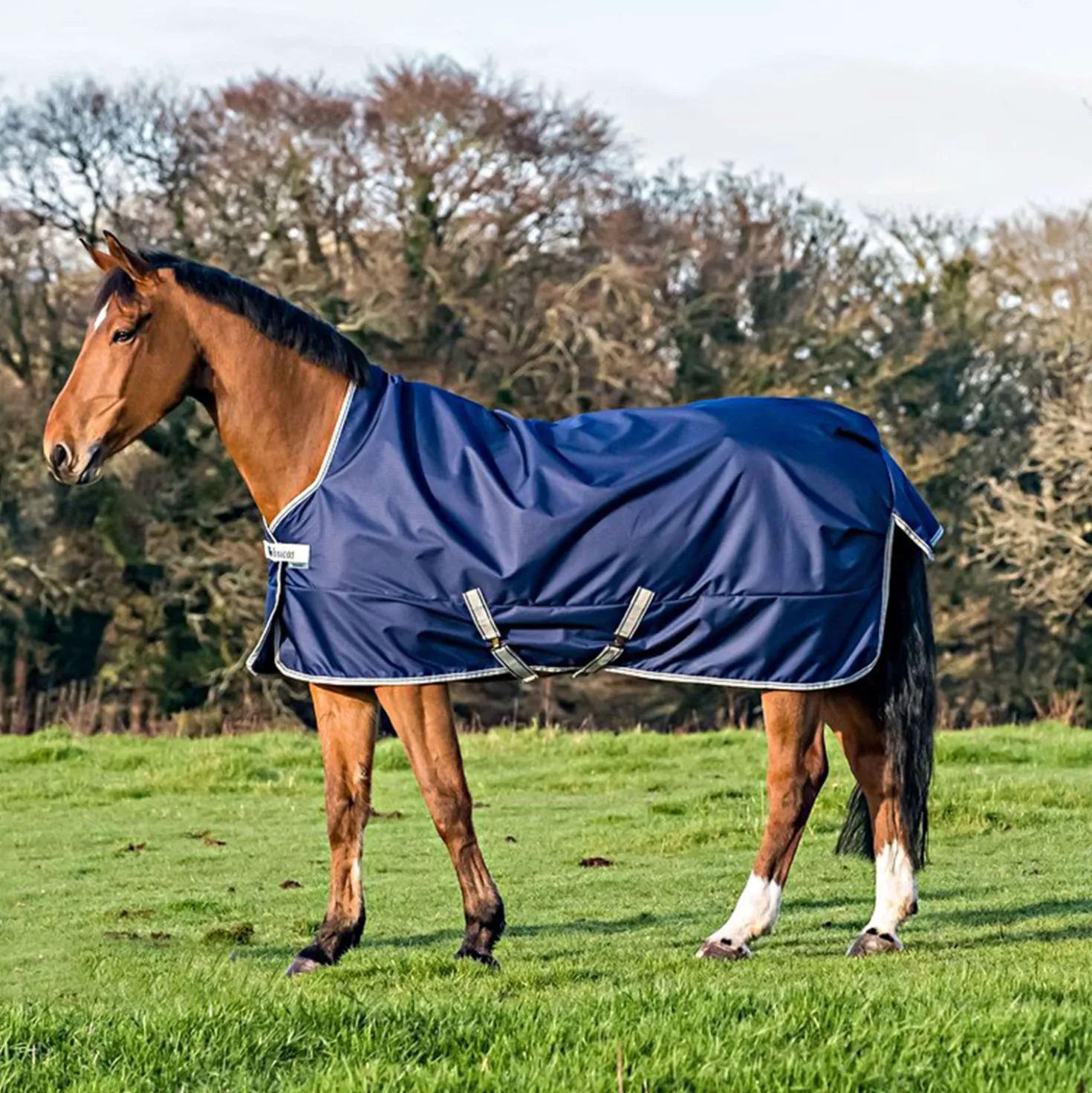 Bucas Freedom Turnout High Neck 0g Navy