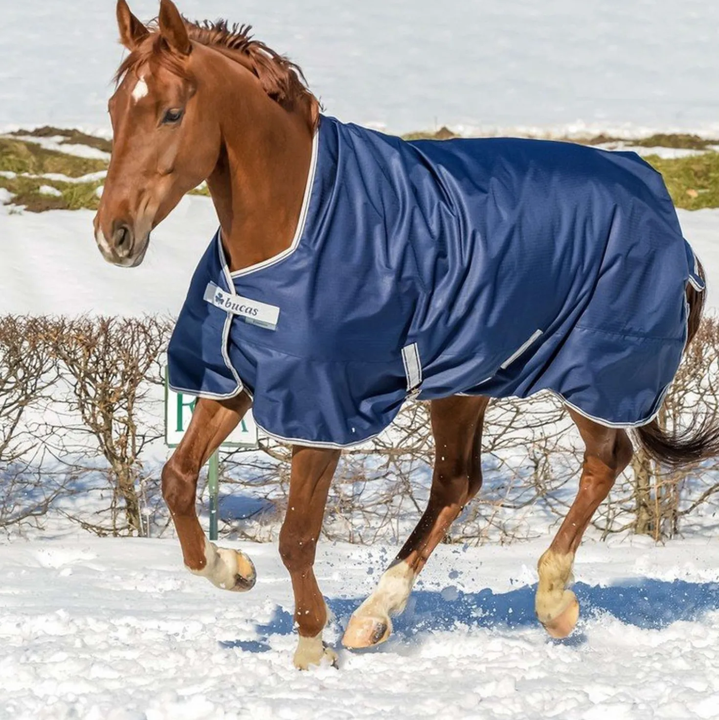Bucas Freedom Turnout High Neck 0g Navy