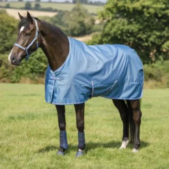 Bucas Freedom Turnout Light 0g Blueberry