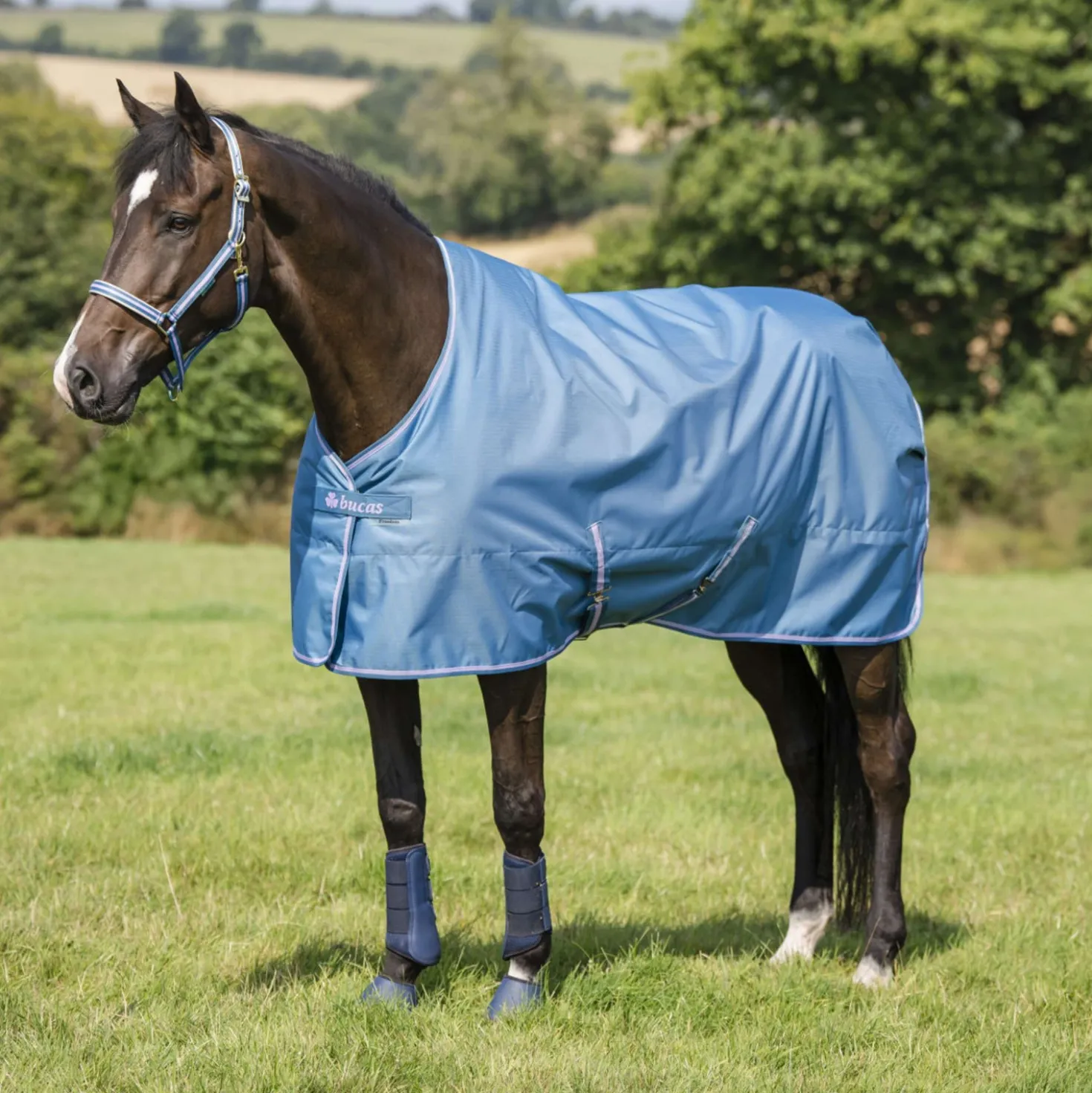 Bucas Freedom Turnout Light 0g Blueberry