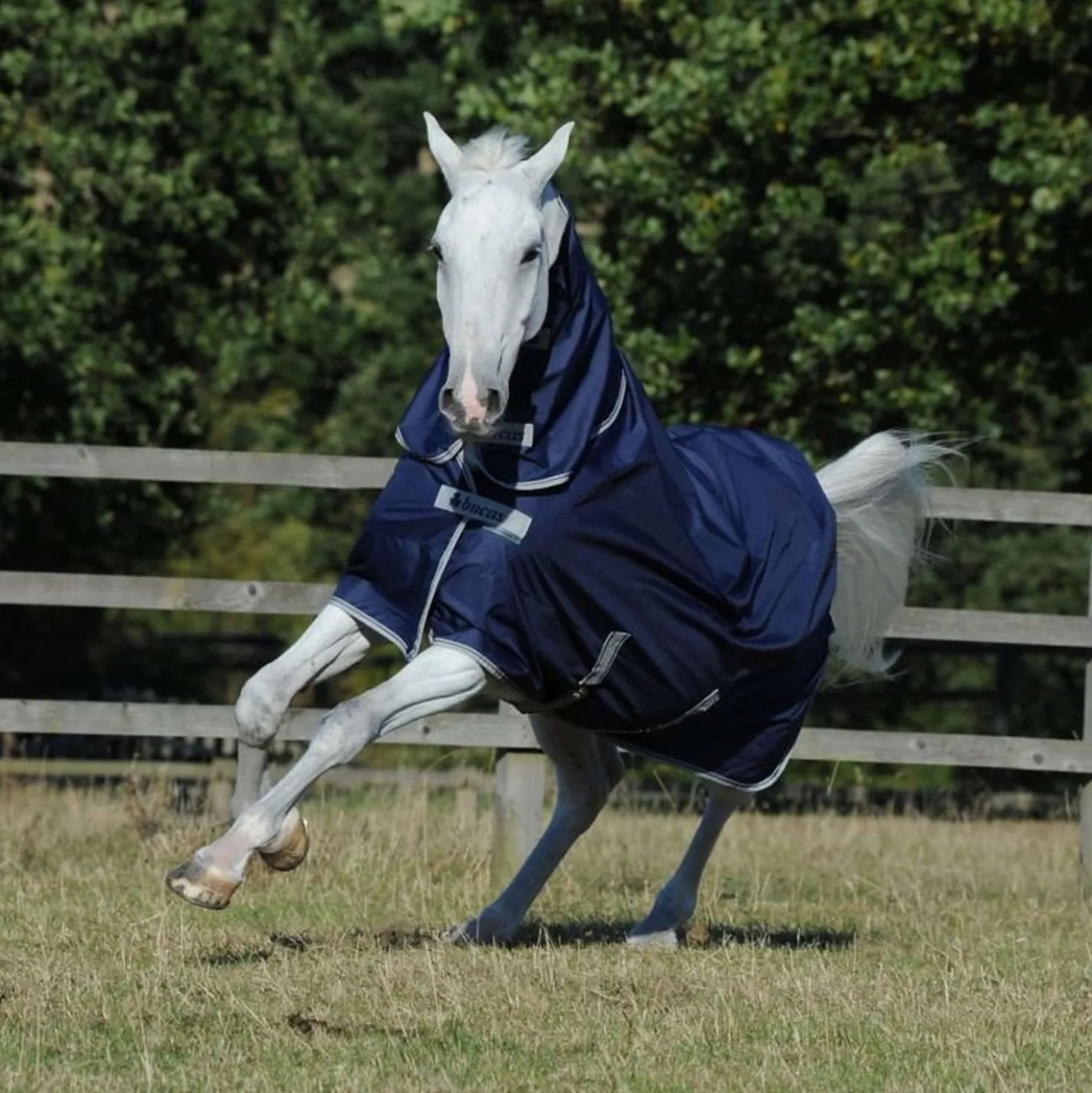 Bucas Freedom Turnout + Neck 100g Navy