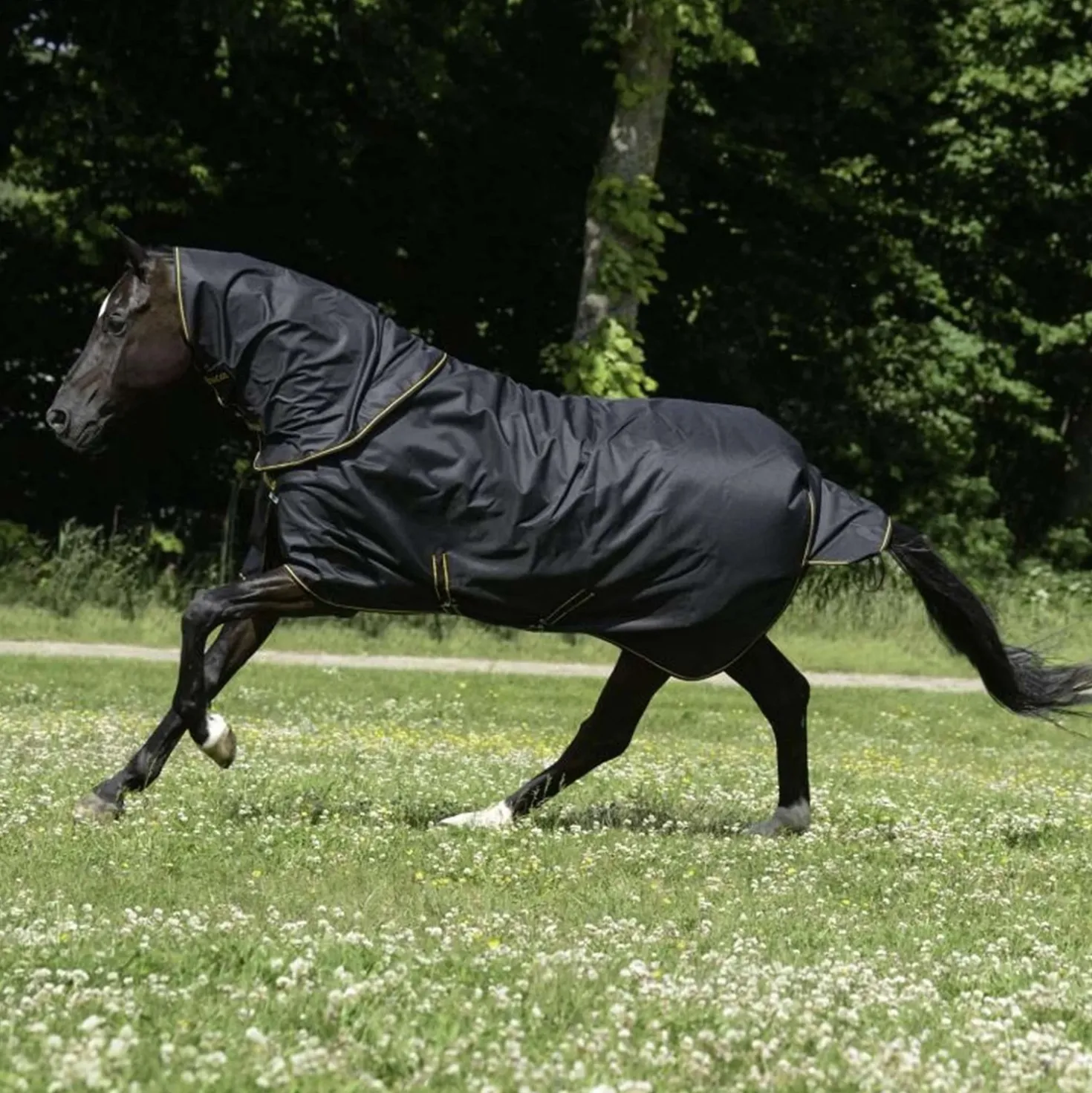 Bucas Halsstuk Irish Turnout Combi Neck 300g Black/Gold