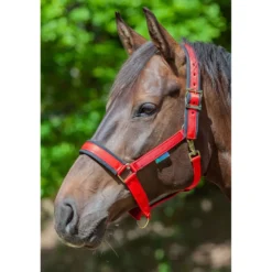 Bucas Halster Comfort Red/Black