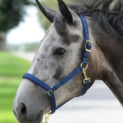 Bucas Halster Dublin Navy