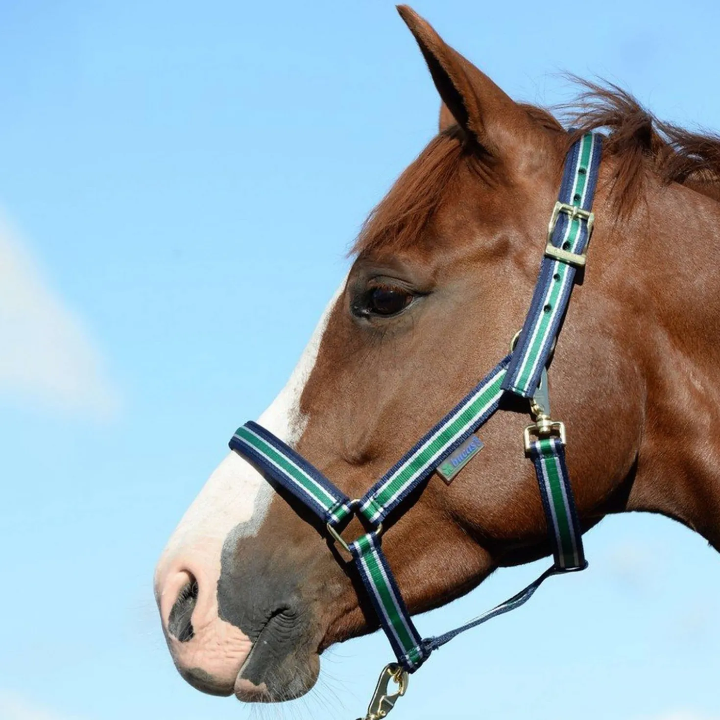 Bucas Halster Dublin Striped Navy