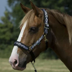 Bucas Halster Dublin Zebra