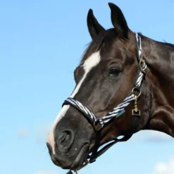 Bucas Halster Dublin Zebra