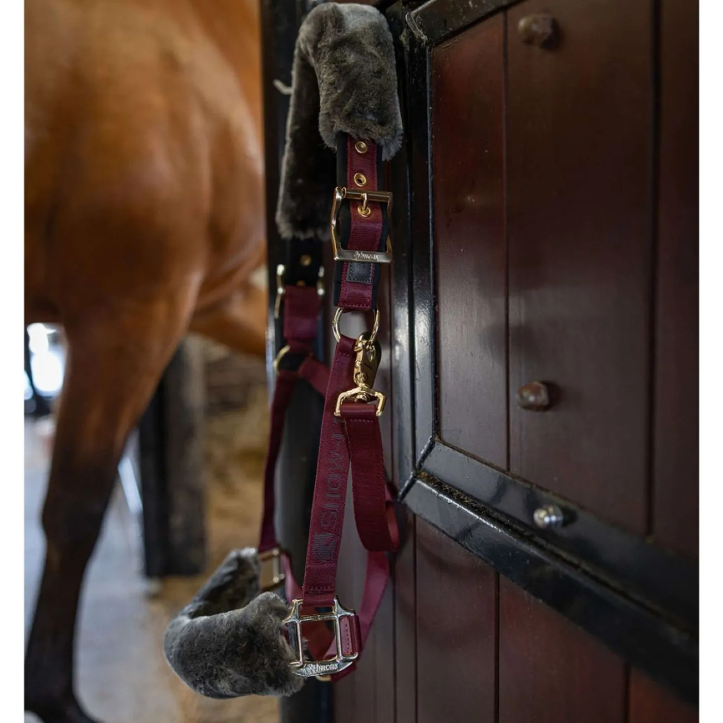 Bucas Halster Show-Line Burgundy/Black